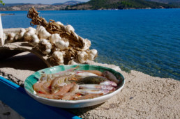fresh fish presentation in greek tavern